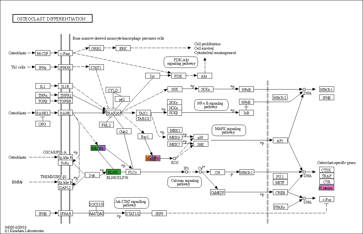 _images/single-cell-example_29_0.png