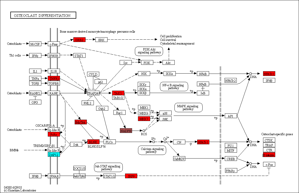 _images/single-cell-example_34_0.png