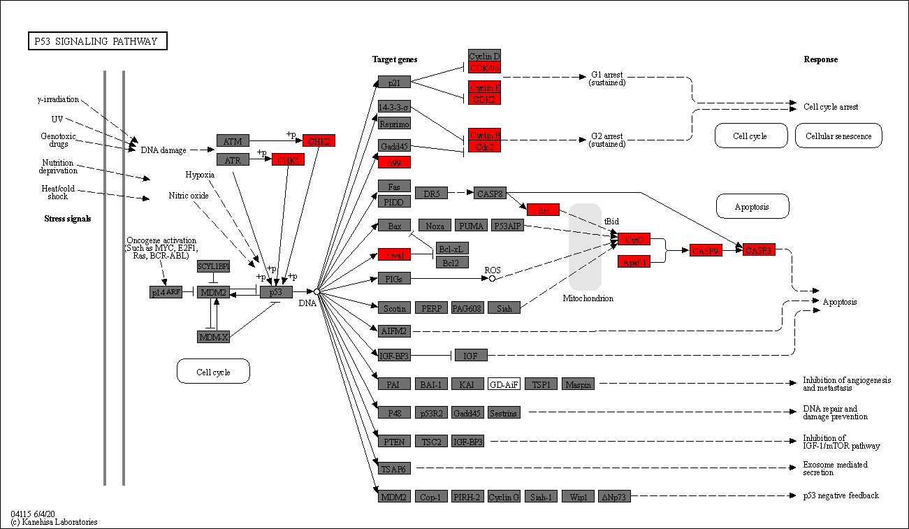 _images/vis-multiple-enrichment_13_0.png